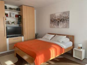 a bedroom with a bed and a flat screen tv at Svetao stan sa terasom blizu Ade - Casa 29 in Čukarica