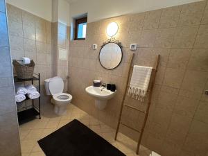 a bathroom with a toilet and a sink and a mirror at Villa Vista in Dolna Banya +15 photos