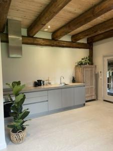 SuameerにあるAppartement Rijksmonument De Heidepleatsのシンクとカウンタートップのあるキッチン