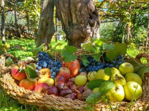 a basket of fruit in front of a tree at Villa Bianca in Tramonti