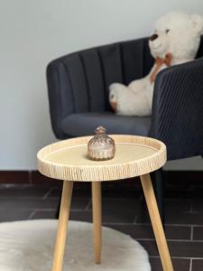 Domácí mazlíčci ubytovaní s hosty v ubytování Beau duplex T3 bis bien situé