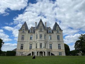 a dog sitting in front of a large building at Château du Maurier in La Fontaine-Saint-Martin