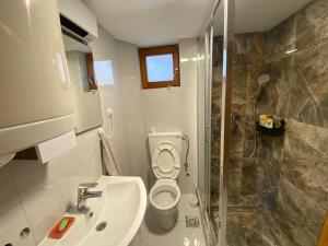 Koupelna v ubytování Apartman Vesna + 21 fotografií