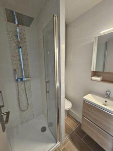 a bathroom with a shower and a toilet and a sink at Appartement 4 pers vue mer le barcares in Dosse Gros