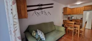 Kuchyň nebo kuchyňský kout v ubytování Duplex La Vinya