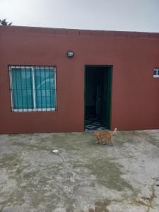 Gallery image of Departamentos HILDA in Colonia Chapadmalal