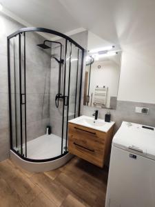 Koupelna v ubytování Apartament Loft na Kaszubach - Laskowa Góra Bieszkowice
