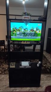 A television and/or entertainment centre at the flowers apartment