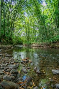Gallery image of Hotel Campestre LA ALDEA in Montenegro