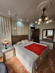 Voodi või voodid majutusasutuse Apartment in front of Mansoura University 5 stars toas