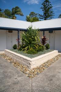 Zahrada ubytování Woolgoolga Coast Motel