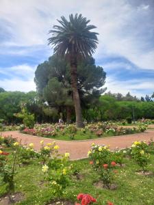 Zahrada ubytování Parque Central
