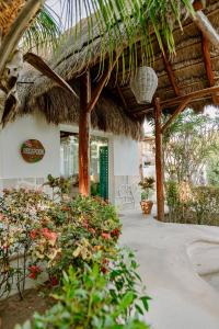 Zahrada ubytování Hotel Puerto Holbox Beach Front
