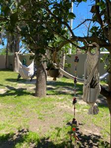 an owl swing hanging from a tree in a yard at Las margaritas in Esther