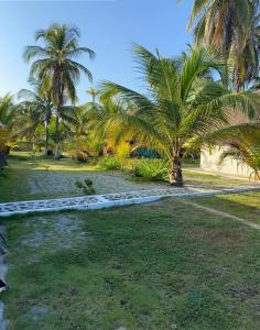 Taman di luar Zéfiro Hostal