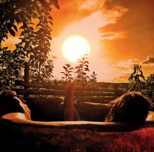 a person laying in a fountain with the sun in the background at BioChalé Buena Vista in Sao Jorge