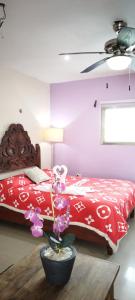 a bedroom with two beds with red sheets and a plant at Gacelita Cozumel in Cozumel