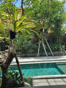 Hồ bơi trong/gần Melati bali villa +26 ảnh
