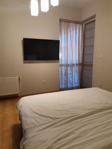 Μια τηλεόραση ή/και κέντρο ψυχαγωγίας στο Criss apartament