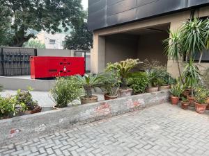 a bunch of potted plants in front of a building at Royal Service Apartments Gulberg in Lahore