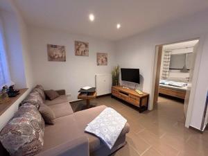 TV a/nebo společenská místnost v ubytování NEU! Ferienwohnung Hofblick