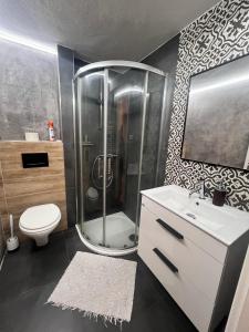 a bathroom with a shower and a toilet and a sink at Ubytovani Na Hrazi 91 in Znojmo