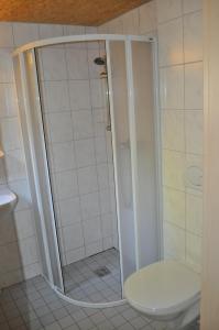 a shower with a toilet in a bathroom at Gästedorf Waldheimat in Langenwang