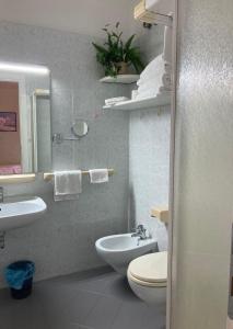 Koupelna v ubytování Hotel Benaco
