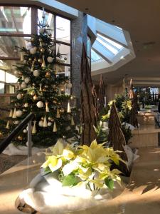 Fotografie z fotogalerie ubytování Spa Residence Carbona Apartman 104 v destinaci Hévíz