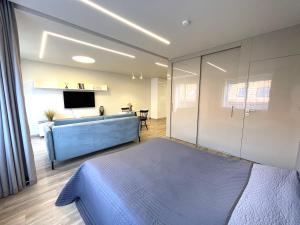 クライペダにあるBenetis apartmentsのベッドとテレビのある寝室