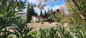 a view of a house from behind some plants at Casita Cacahuete in Olvera +13 photos