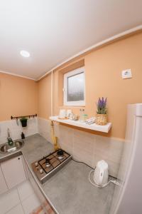 Kuchyň nebo kuchyňský kout v ubytování Guest House LILA