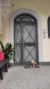 Domáce zviera alebo zvieratá hostí v ubytovaní CasaCri