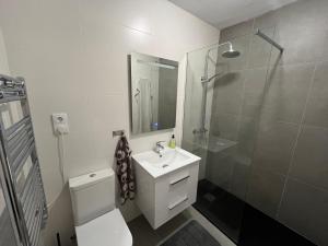 a bathroom with a toilet and a shower and a sink at Townhouse med takterrass i Costa Hispania in Gran Alacant +22 photos