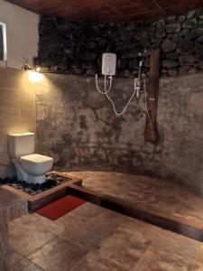 um banheiro com vaso sanitário e chuveiro em Turn View Resort Ella em Ella