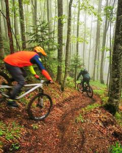 two people riding bikes on a trail in the woods at Jozin put -planinska kuća in Blidinje