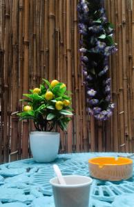 a table with a potted plant on top at Room&Chiaia in Naples