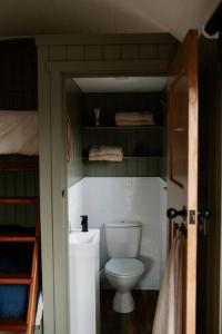 a bathroom with a toilet in a small room at Countryside Shepherds Hut with hot tub wood fired in Gransha