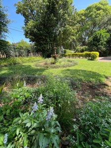 a garden with purple flowers in the grass at Lavender Cottage in Hillcrest
