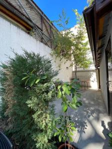 een tuin met planten aan de zijkant van een gebouw bij Victoriei Light&Comfort in Boekarest