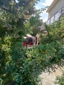 Zahrada ubytování Casa Rustica