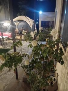 Fotografie z fotogalerie ubytování Casa Rustica v destinaci Mamaia Nord – Năvodari