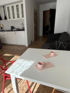 Kuchyň nebo kuchyňský kout v ubytování nowy apartament w Wiśle