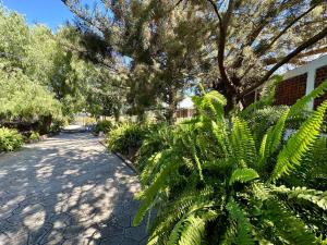 Κήπος έξω από το FINCA el SOLIS +11 φωτογραφίες