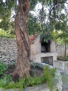 Zahrada ubytování Apartments Jere