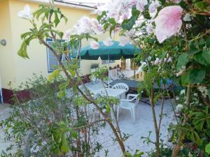 Jardí fora de Rosa's Rust en Pad