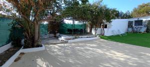 a backyard with a tree and a white fence at La Jordana 39, Calblanque in Las Barracas