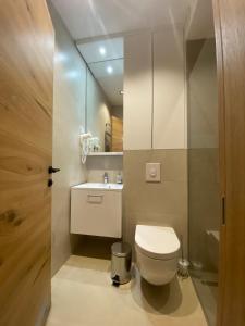 a small bathroom with a toilet and a sink at Apartman Mraz - Aparthotel Zlatni Javor in Jahorina