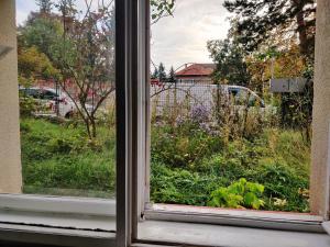 Zahrada ubytování Apartment in house with private parking and garden