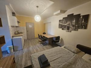 Kuchyňa alebo kuchynka v ubytovaní Royal Apartments & Rooms